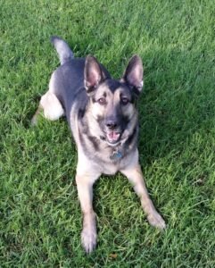 20140812 072558 calle azorin (2)