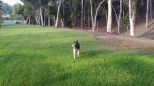 20140812 072616 calle azorin