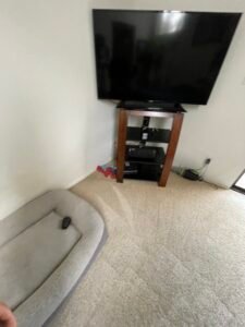 20230930 231918067 ios