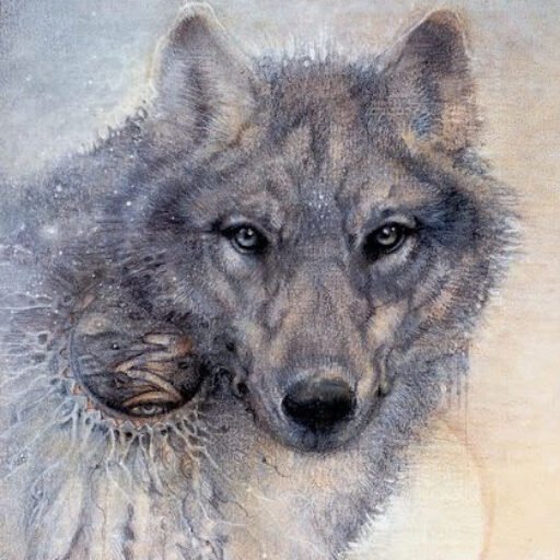 susan boulet wolf